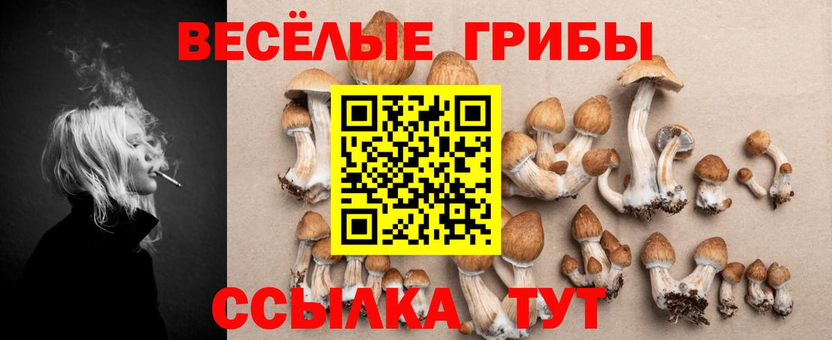 Псилоцибиновые грибы GOLDEN TEACHER  Вход с VPN  Озёрск 